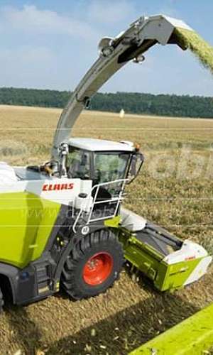 Forrageira Forrageira